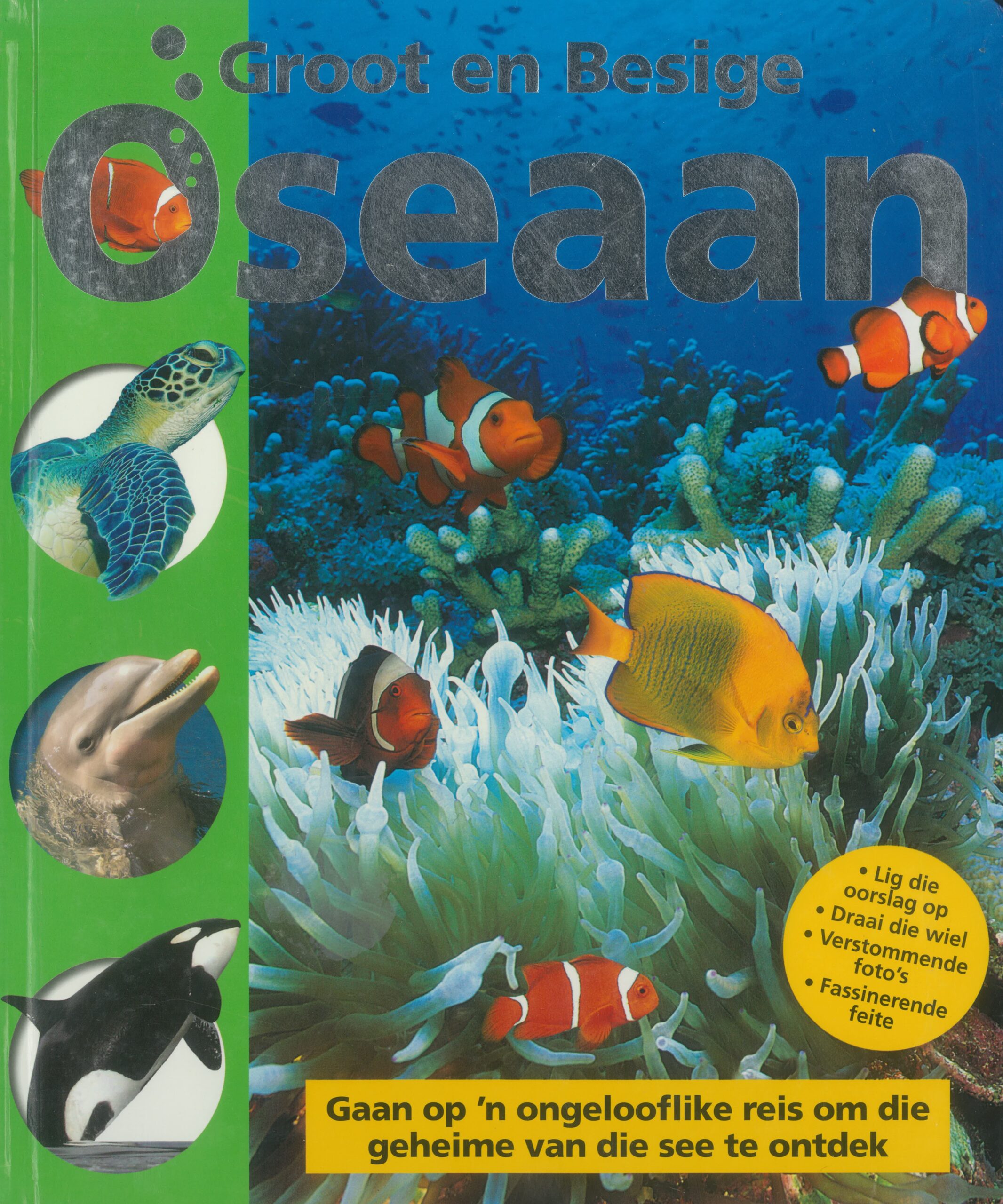 Oseaan